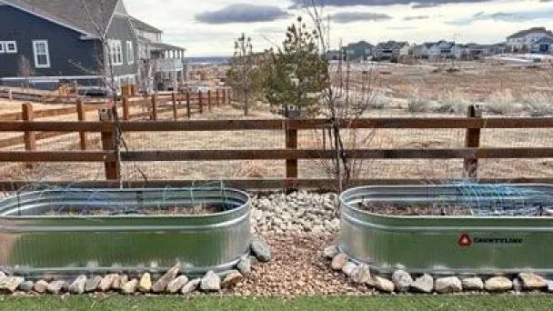 Photo of backyard planter beds.
