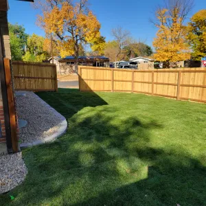 Photo of a backyard fence.