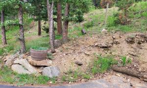 Before photo of a sloped yard. 