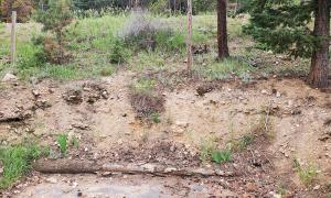 Before photo of a sloped yard. 