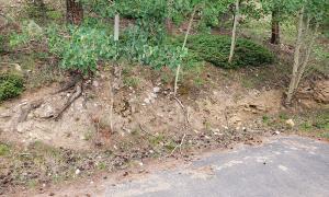 Before photo of a sloped yard. 